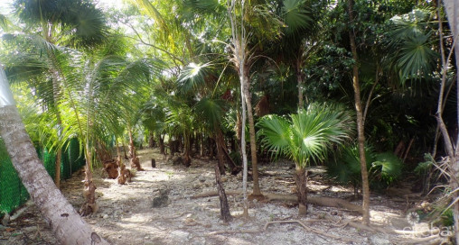 Canal Front, Filled Land, North Sound Estates