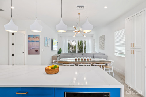 Boggy Sands Club Turtle 2