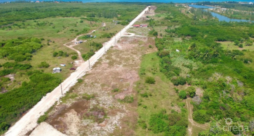 White Orchid - New Savannah Community - L7