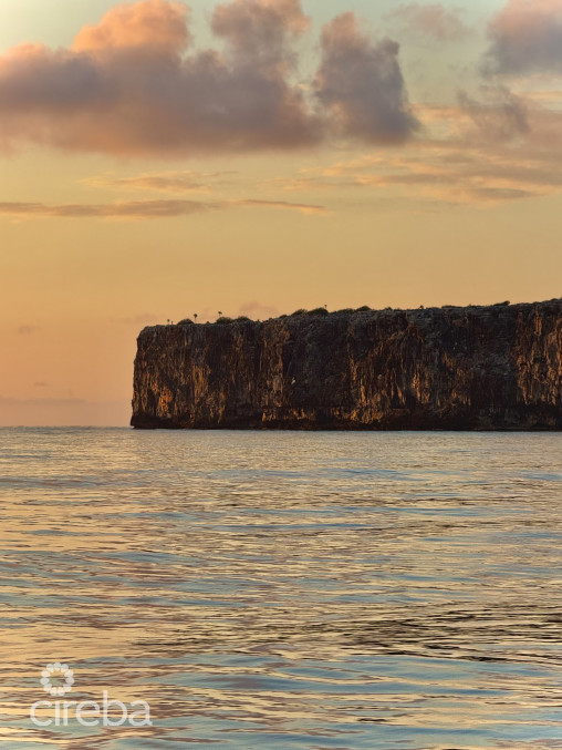 Bluff Land -cayman Brac