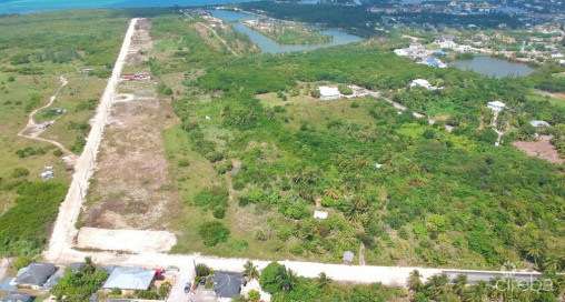 White Orchid - New Savannah Community - L22