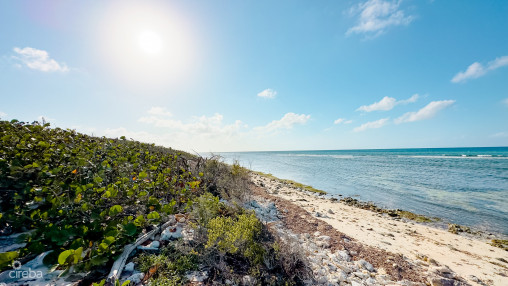 Oceanfront Land Little Cayman 