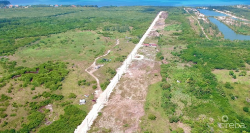 White Orchid - New Savannah Community - L3