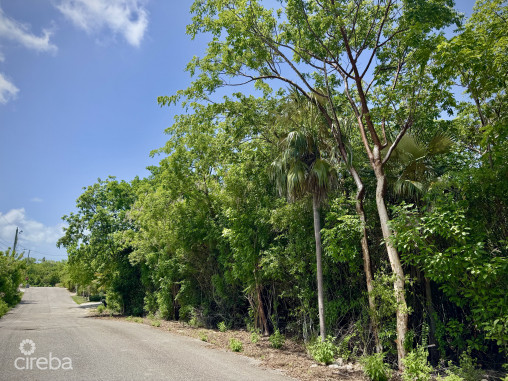 Beach Bay - Oversized Lot