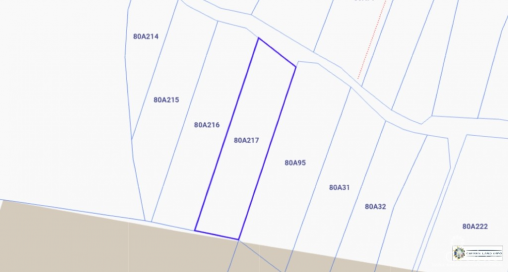 Little Cayman West Lot