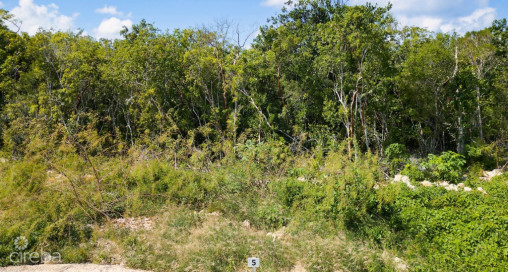 Copper Ridge - Lot #5 - Phase 2