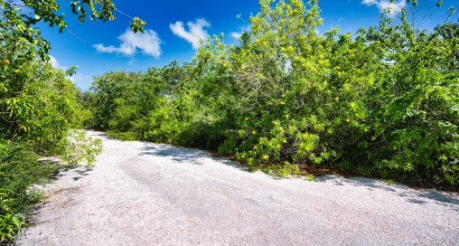 Cayman Brac Inland Parcel - Owner Financing Offered!!
