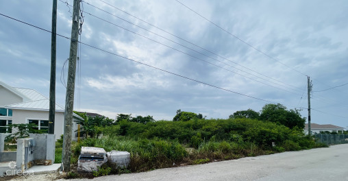 Land  .28 Acres - Northward