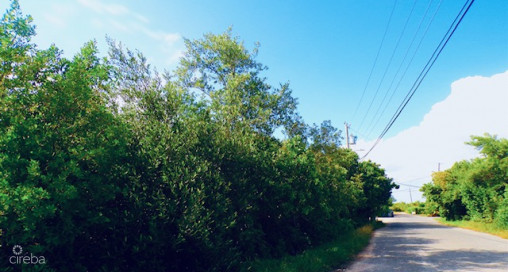 Bodden Town Lot .30 Acres