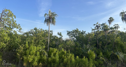 Garland Estates Lot #2