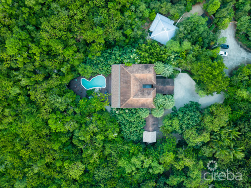 Bespoke Bali-style Jungle Retreat