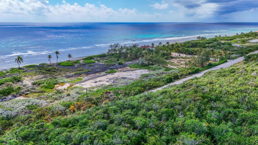 New Reef Beachfront Land