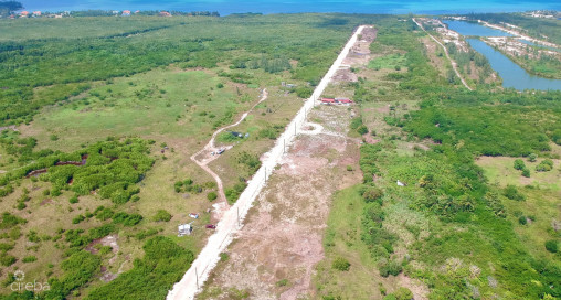 White Orchid - New Savannah Community - L3