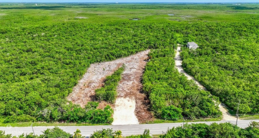 Nature Walk Lot #8 (0.2354 Acre)