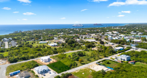 Viola Way House Lot - Ready To Build (0.2389 Acre, Savannah)