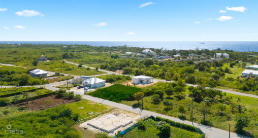 Viola Way House Lot - Ready To Build (0.2389 Acre, Savannah)