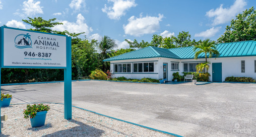 Commercial Opportunity -  Crewe Road