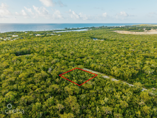 Brac House Lot 0.2345