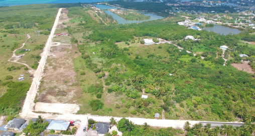 White Orchid - New Savannah Community - L18