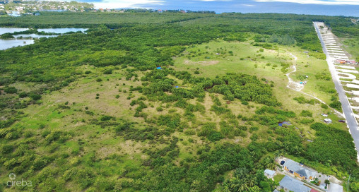 White Orchid - Lot 35 (0.2299 Acre Home Site)