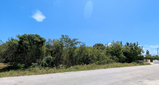 .40 Acre - Bougainvillea Way -  Savannah