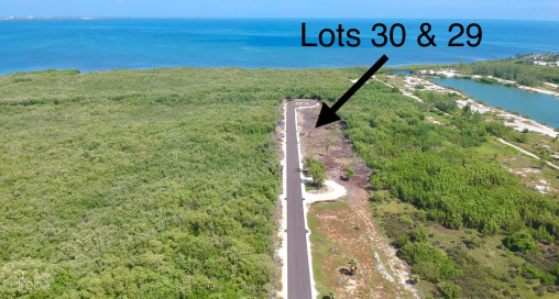 New Savannah Community Lot #30