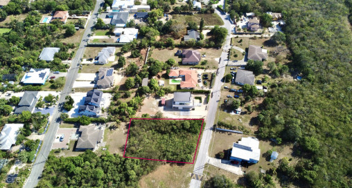 .40 Acre - Bougainvillea Way -  Savannah