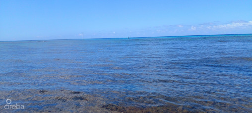 Vida Vistas
