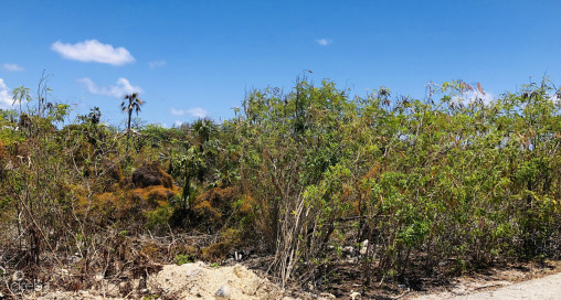 Colliers Duplex Lot - .32 Acres