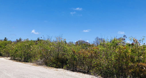 Colliers Duplex Lot - .32 Acres