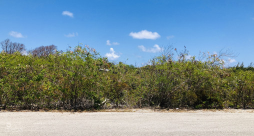 Colliers Duplex Lot - .32 Acres
