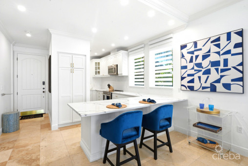 #205 Kisha  Priceless Oceanfront Views, Under A Million