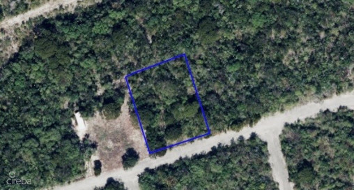 Little Cayman West Turtle Estates Inland Parcel 0.2766