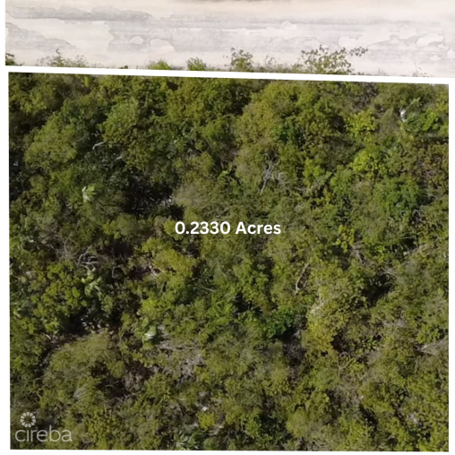 0.23 Acres House Lot Located Near Colliers Beach