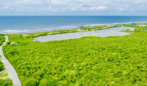 Alexander Grove Subdivision - Cayman Brac - Pond Parcel
