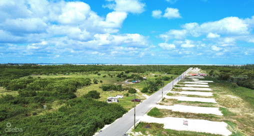 White Orchid - New Savannah Community - L20