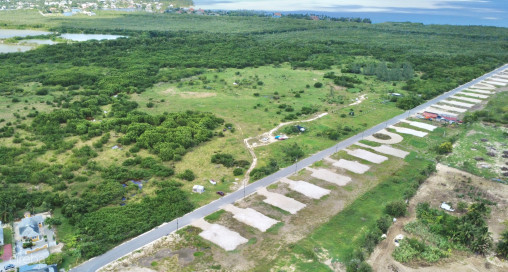 White Orchid - Lot 27 (0.253 Acre Home Site)