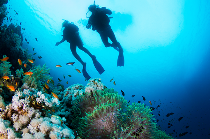 Cayman Brac Centre Cayman Brac Centre