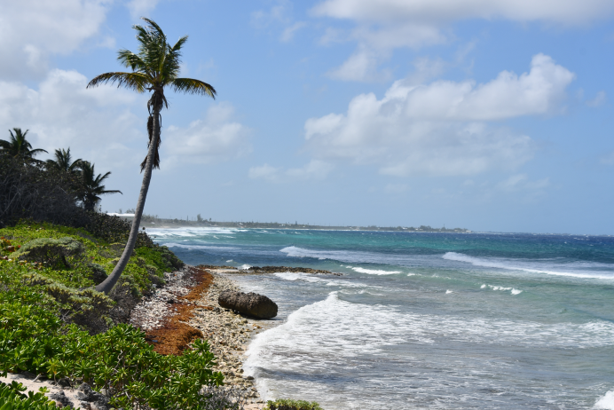 North East Coast / Colliers North East Coast / Colliers