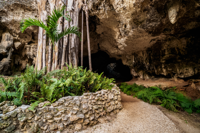 North Side North Side